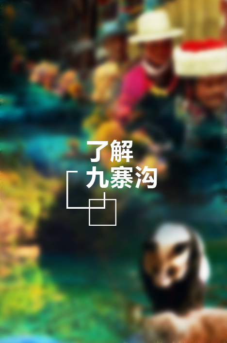 走進(jìn)九寨 